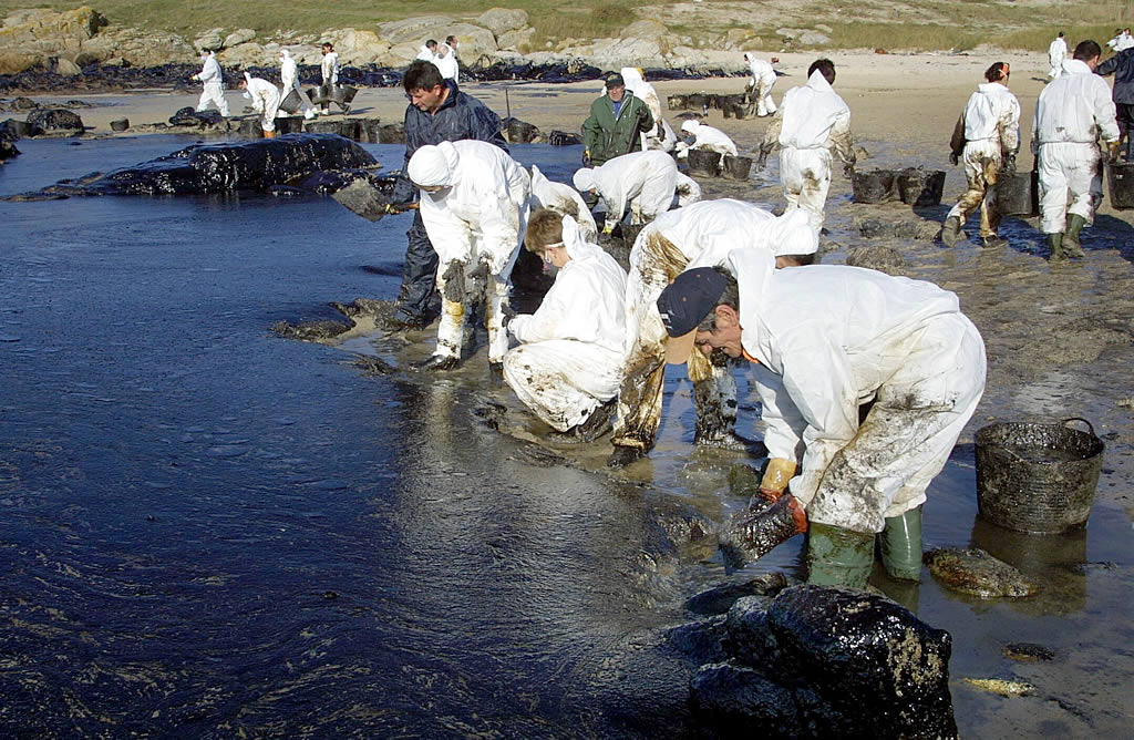07/12/2002 <br>Un grupo de voluntarios recogen chapapote en la costa de Aguiño  <br>Simón Balvís